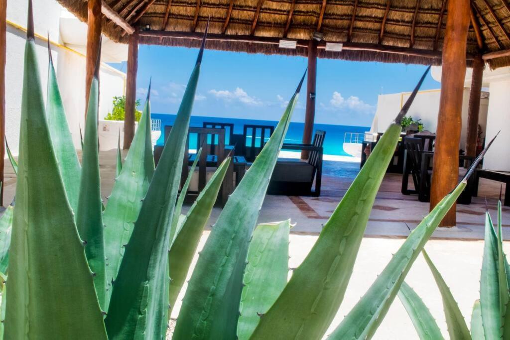 Cancun Marlin 32 外观 照片