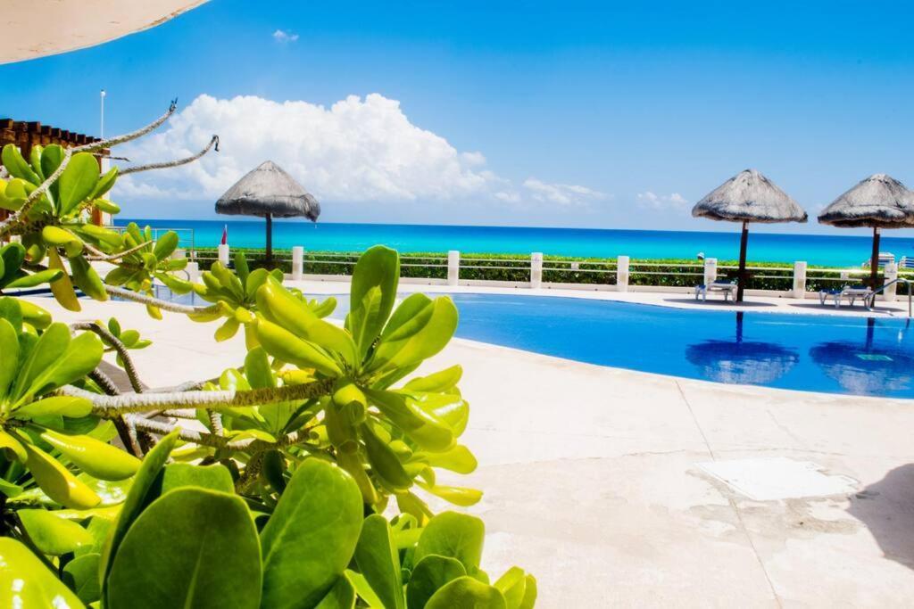 Cancun Marlin 32 外观 照片